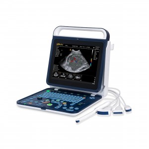 ECOGRAFO VET BPU60 C/SONDA...