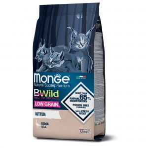 MONGE GATTO BWILD LOW GRAIN...
