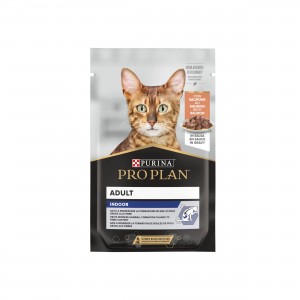 PP GATTO housecat pz...