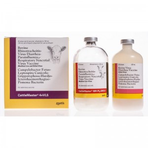 CATTLEMASTER RIP 5 dosi