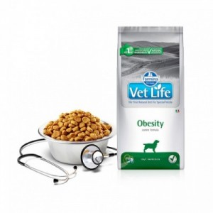 VET LIFE CANE OBESITY 12 kg