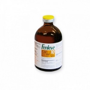 FENLEVE 10 100 ml 2