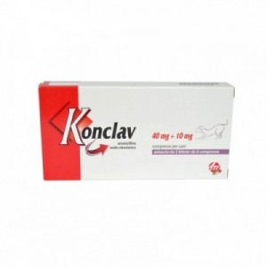 KONCLAV 40 mg + 10 mg 10 cpr 2