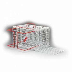 GABBIA GATTI C/FONDO...