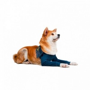 MPS PROTECTIVE TAZ2 SHIRT...