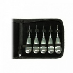 SET DA 5 LEVE DENTALI PER...