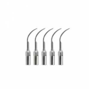 PUNTE X ABLATORE WOODPECKER...