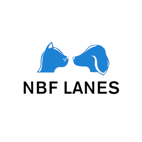 N.B.F. LANES S.R.L.