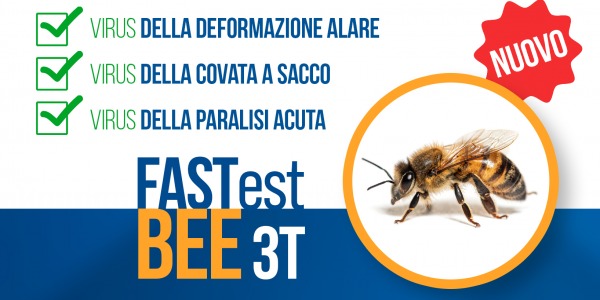 I virus in apicoltura.
